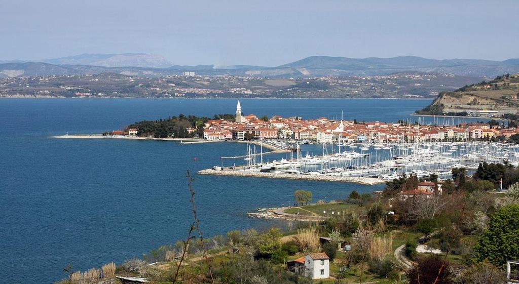 Apartma Soncek Izola Exteriér fotografie